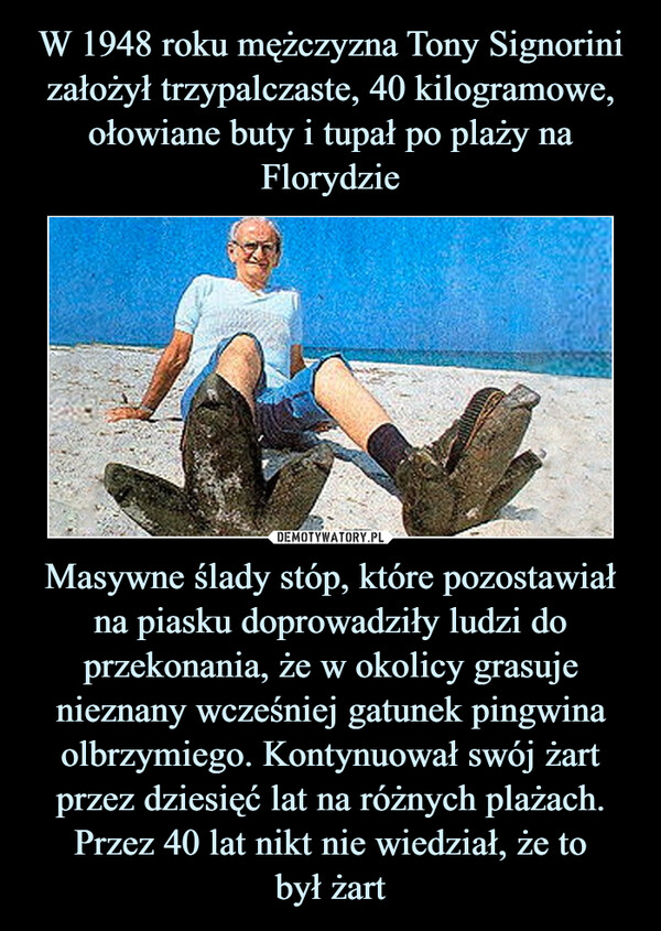 W 1948 roku mężczyzna Tony Signorini założył trzypalczaste, 40 kilogramowe, ołowiane buty i tupał po plaży na Florydzie Masywne ślady stóp, które pozostawiał na piasku doprowadziły ludzi do przekonania, że w okolicy grasuje nieznany wcześniej gatunek pingwina olbrzymiego. Kontynuował swój żart przez dziesięć lat na różnych plażach. Przez 40 lat nikt nie wiedział, że to
był żart