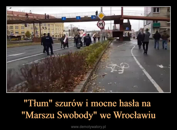 "Tłum" szurów i mocne hasła na "Marszu Swobody" we Wrocławiu –  