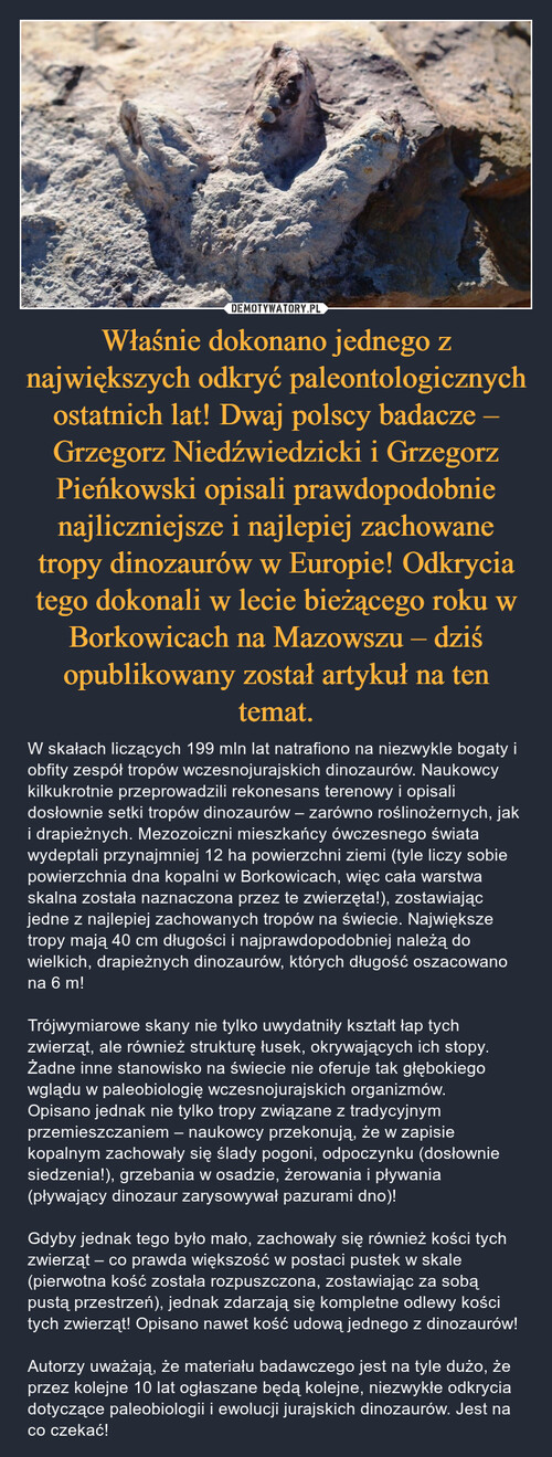 Właśnie dokonano jednego z największych odkryć paleontologicznych ostatnich lat! Dwaj polscy badacze – Grzegorz Niedźwiedzicki i Grzegorz Pieńkowski opisali prawdopodobnie najliczniejsze i najlepiej zachowane tropy dinozaurów w Europie! Odkrycia tego dokonali w lecie bieżącego roku w Borkowicach na Mazowszu – dziś opublikowany został artykuł na ten temat.