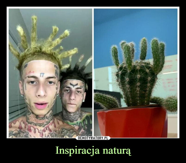 Inspiracja naturą