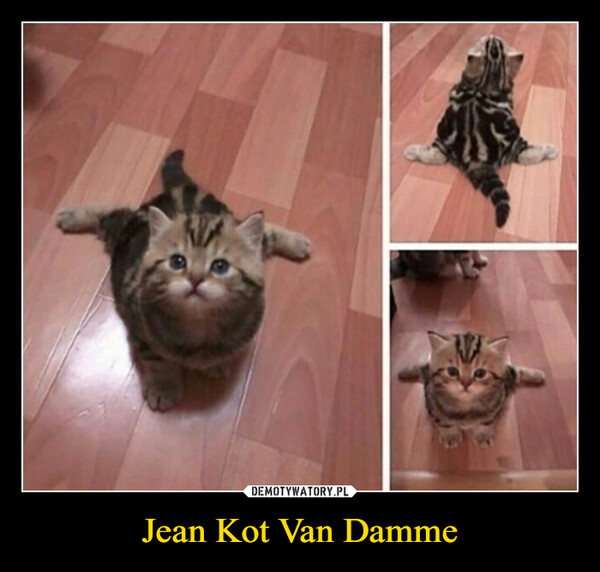 Jean Kot Van Damme