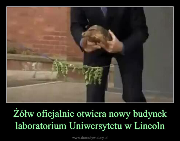 Żółw oficjalnie otwiera nowy budynek laboratorium Uniwersytetu w Lincoln –  