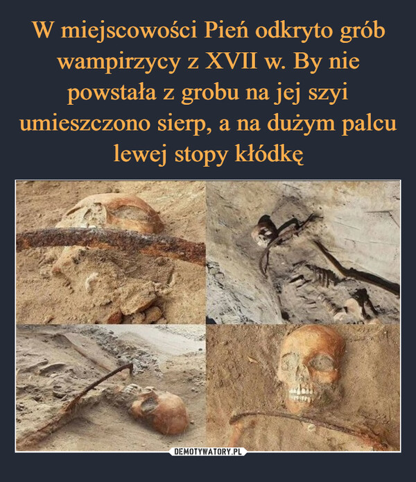 W miejscowości Pień odkryto grób wampirzycy z XVII w. By nie powstała z grobu na jej szyi umieszczono sierp, a na dużym palcu lewej stopy kłódkę