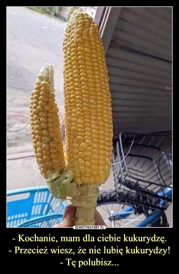 - Kochanie, mam dla ciebie kukurydzę.- Przecież wiesz, że nie lubię kukurydzy!- Tę polubisz... –  
