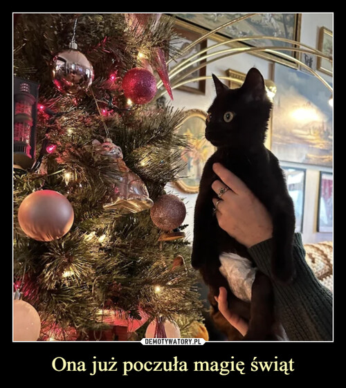 Ona już poczuła magię świąt