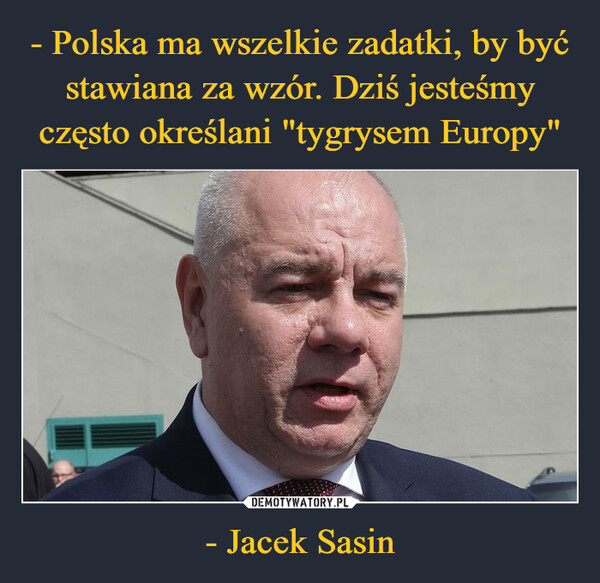 - Polska ma wszelkie zadatki, by być stawiana za wzór. Dziś jesteśmy często określani "tygrysem Europy" - Jacek Sasin