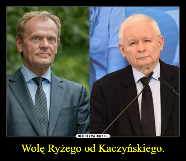 Wolę Ryżego od Kaczyńskiego. –  