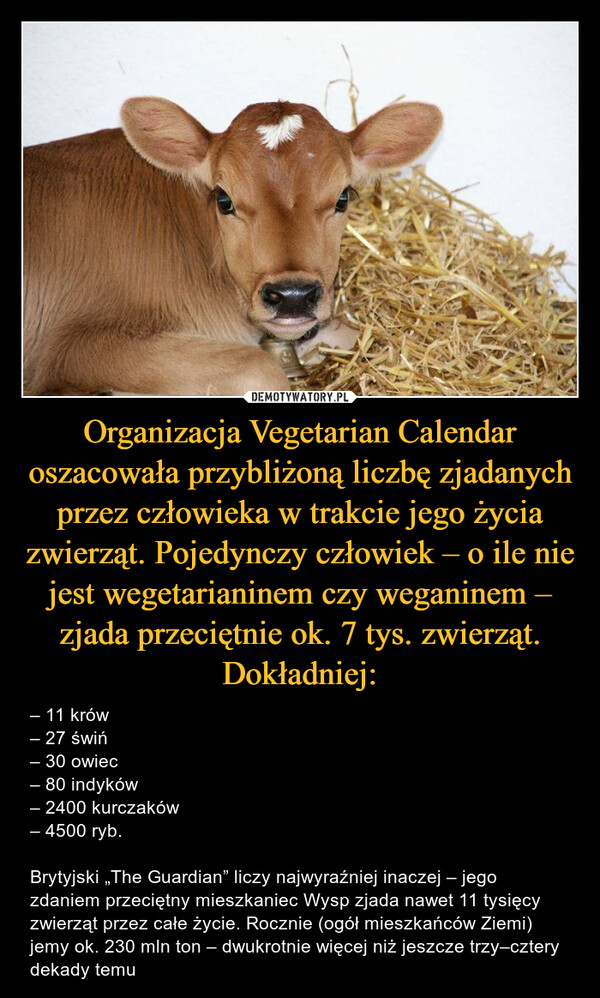 Organizacja Vegetarian Calendar oszacowała przybliżoną liczbę zjadanych przez człowieka w trakcie jego życia zwierząt. Pojedynczy człowiek – o ile nie jest wegetarianinem czy weganinem – zjada przeciętnie ok. 7 tys. zwierząt. Dokładniej: