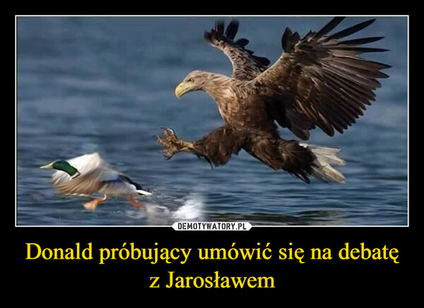 Donald próbujący umówić się na debatę z Jarosławem –  