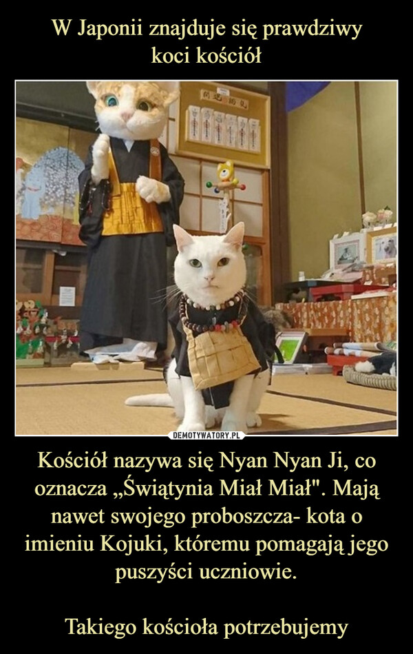 Kościół nazywa się Nyan Nyan Ji, co oznacza „Świątynia Miał Miał". Mają nawet swojego proboszcza- kota o imieniu Kojuki, któremu pomagają jego puszyści uczniowie.Takiego kościoła potrzebujemy –  FF (29