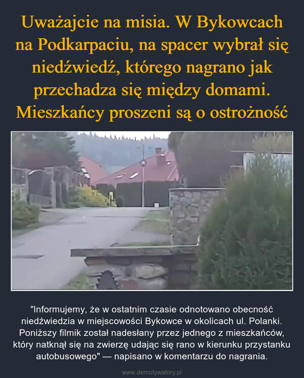  – "Informujemy, że w ostatnim czasie odnotowano obecność niedźwiedzia w miejscowości Bykowce w okolicach ul. Polanki. Poniższy filmik został nadesłany przez jednego z mieszkańców, który natknął się na zwierzę udając się rano w kierunku przystanku autobusowego" — napisano w komentarzu do nagrania. 